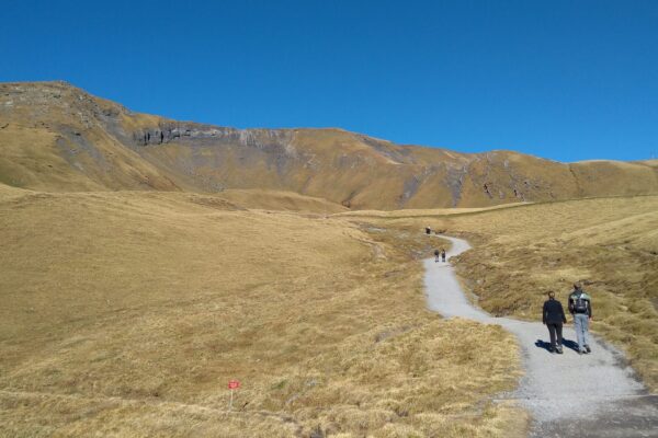 Trail to bachalpsee bernese oberland switzerland scaled