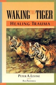 Cover of Waking the Tiger — Healing Trauma by Peter A. Levine